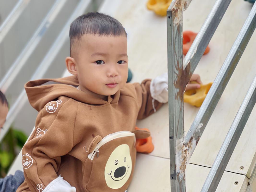 Ảnh hoạt động