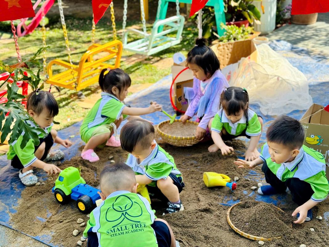 Ảnh hoạt động