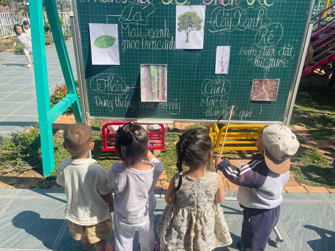 Ảnh hoạt động