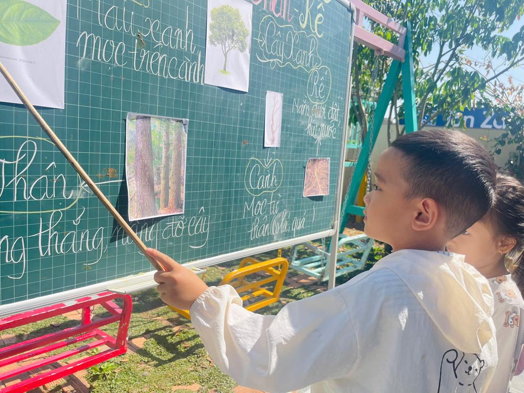 Ảnh hoạt động