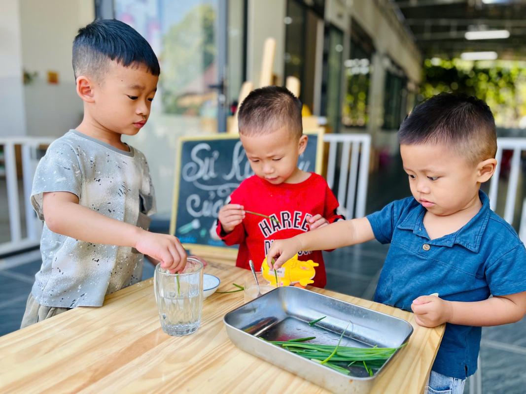 Ảnh hoạt động