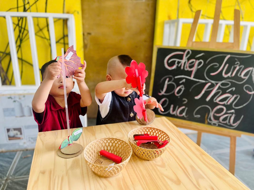 Ảnh hoạt động