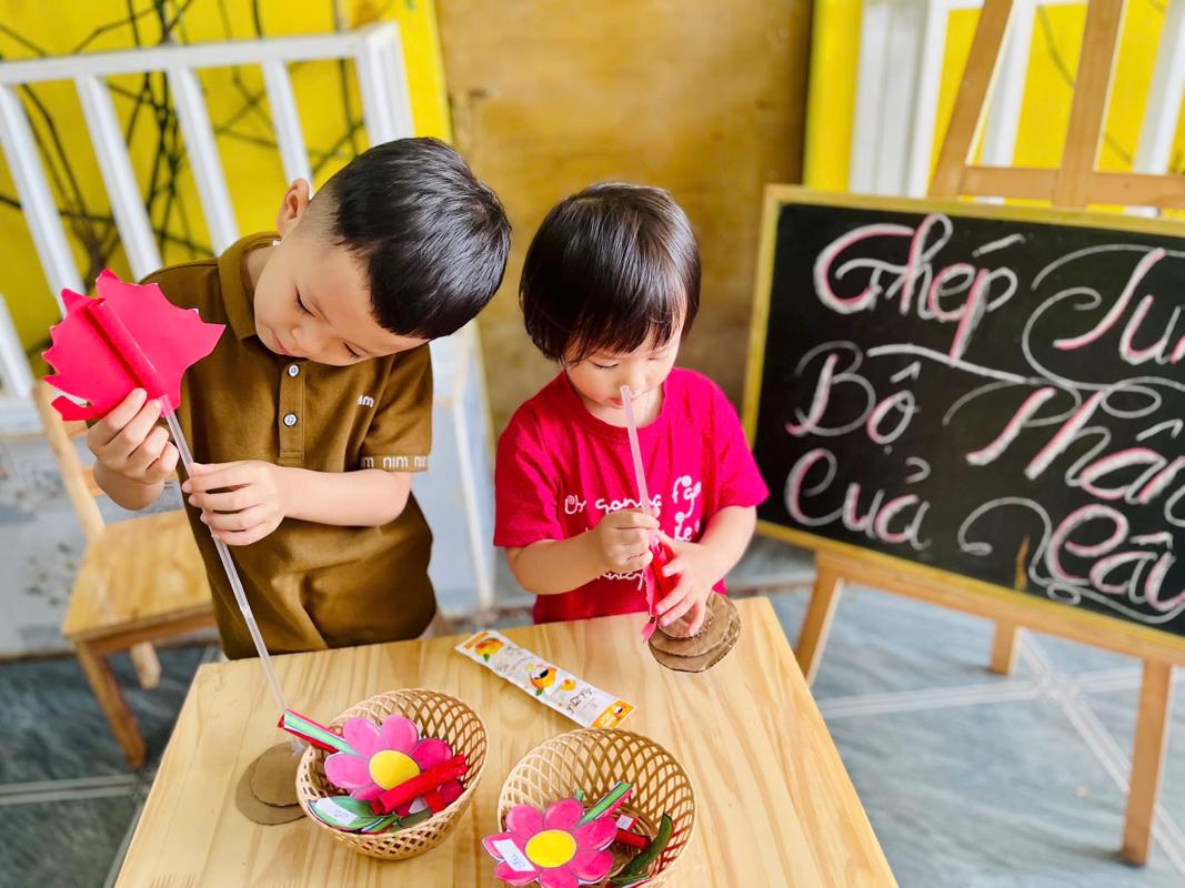 Ảnh hoạt động