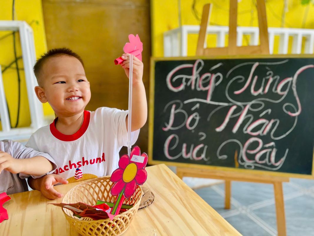 Ảnh hoạt động