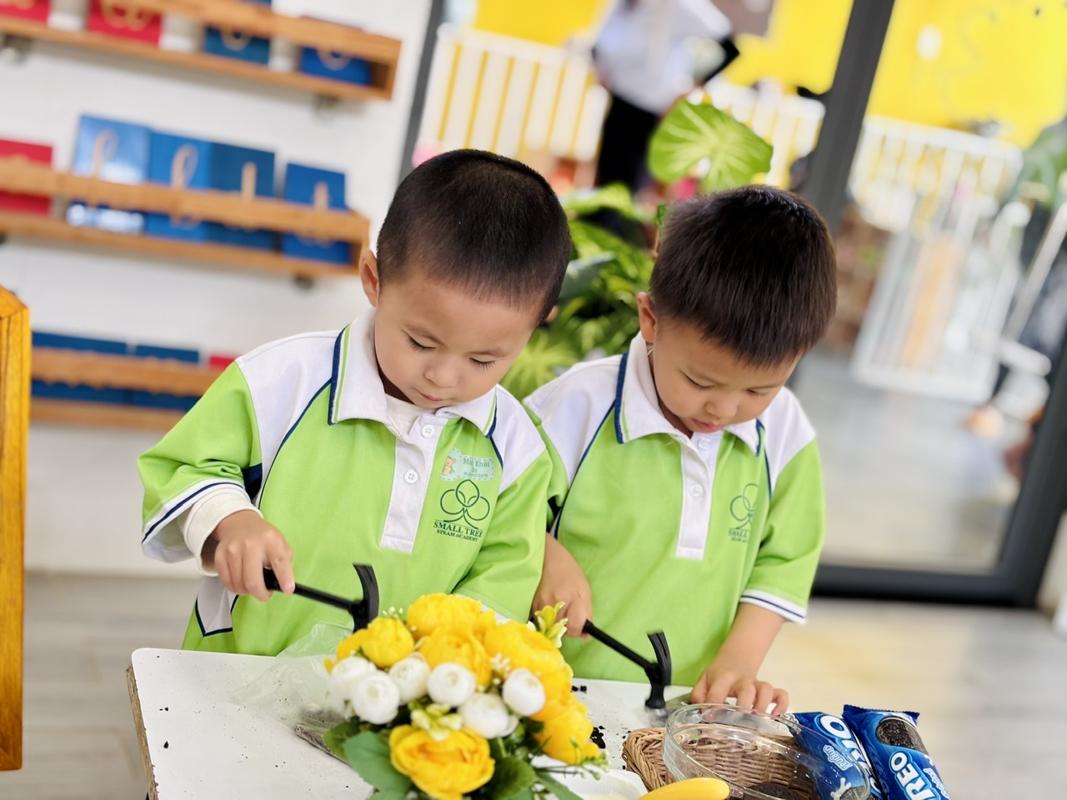 Ảnh hoạt động
